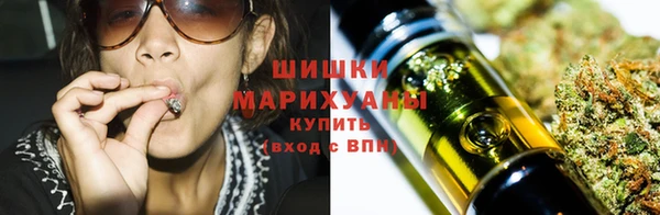 трава Болотное